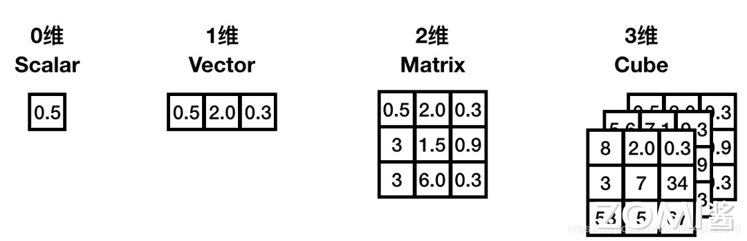 张量