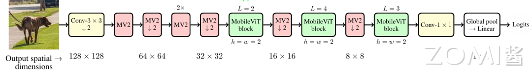 MobileVit